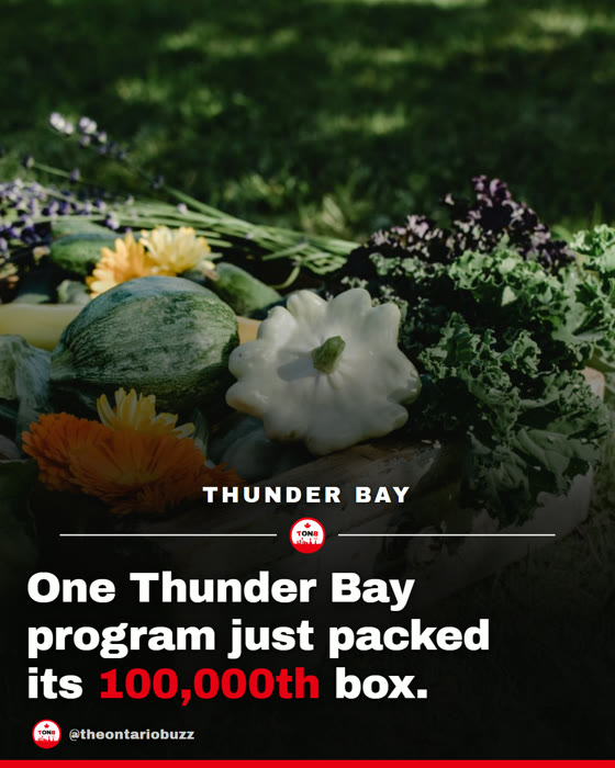 TONB post: one Thunder Bay program just packed its 100,000th box